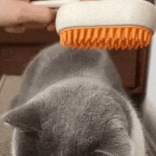 Cepillo Automático A Vapor 3 En 1